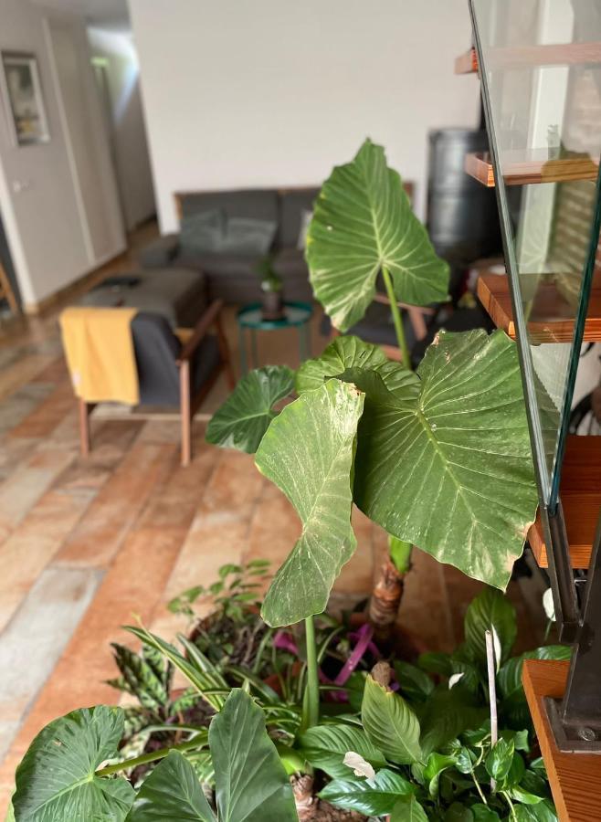 Laindustria Apartment Palamos Ngoại thất bức ảnh